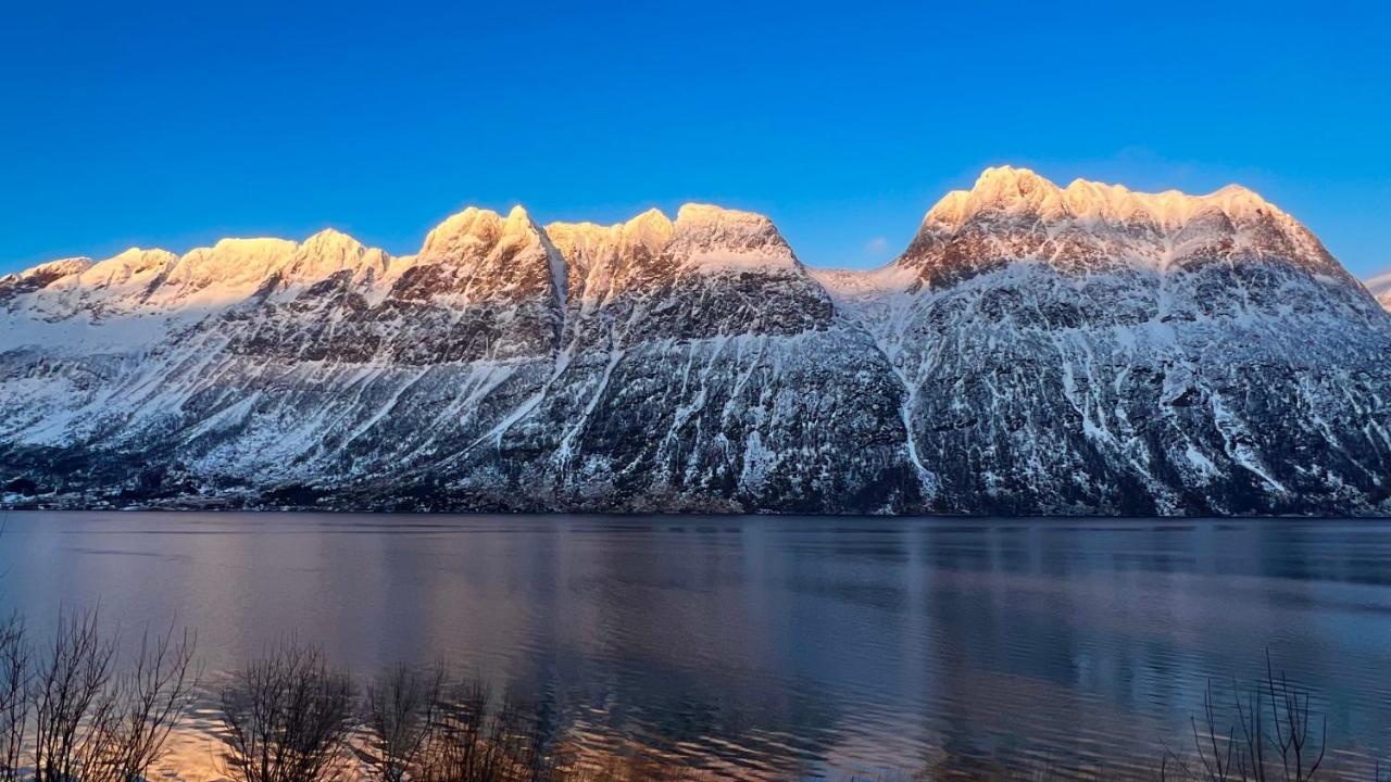 Apartamento Norwegian Dream Gratangen Exterior foto