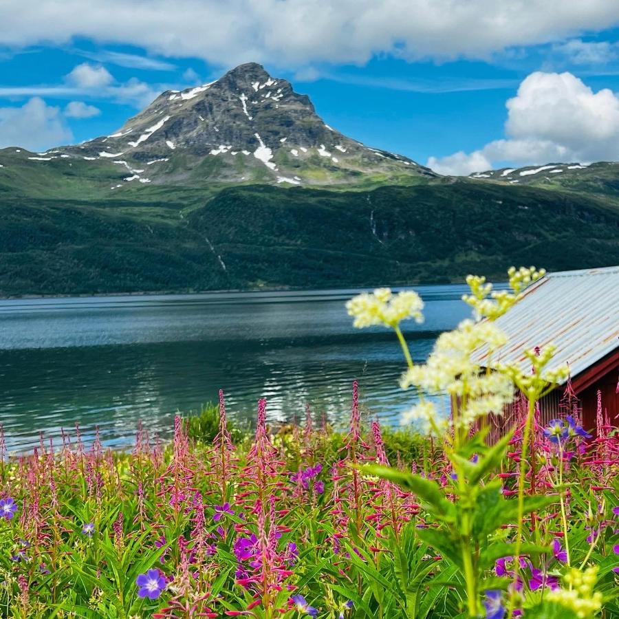 Apartamento Norwegian Dream Gratangen Exterior foto