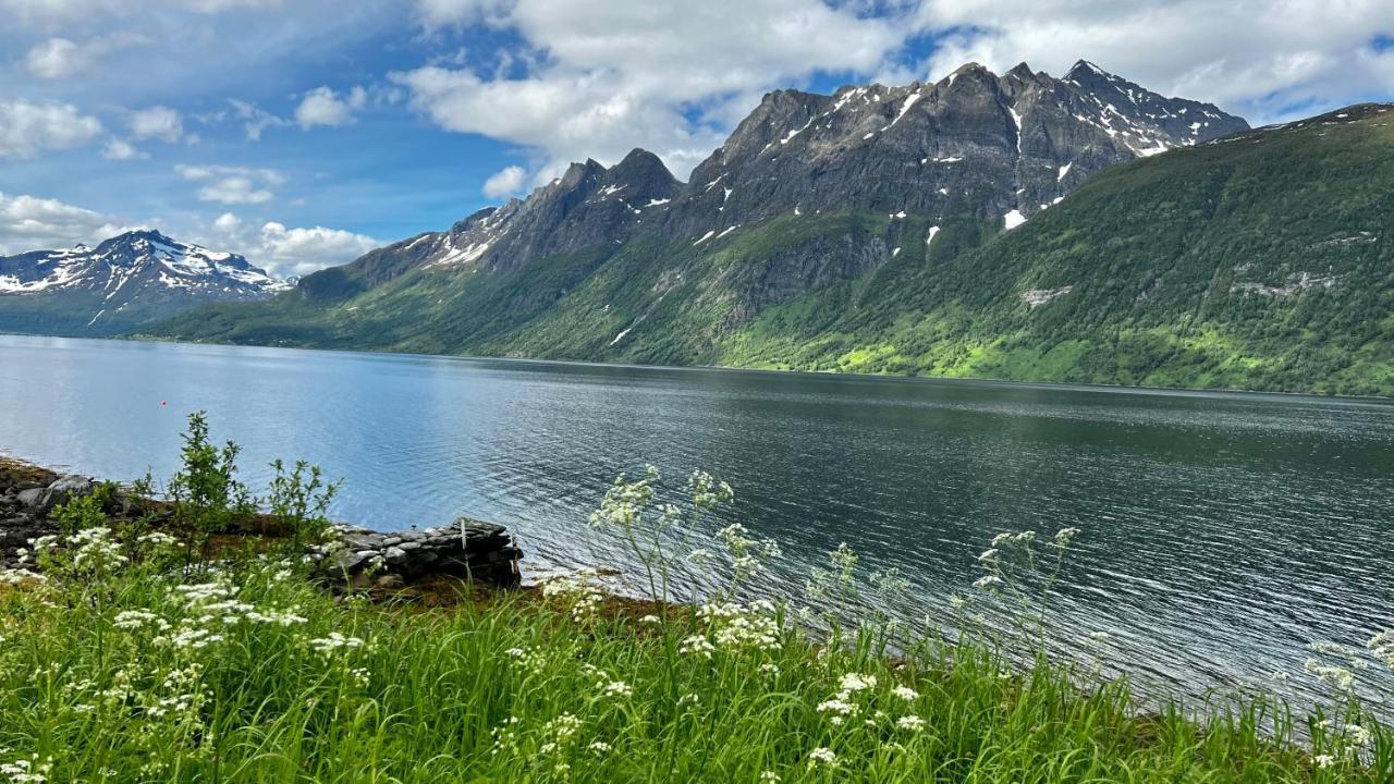Apartamento Norwegian Dream Gratangen Exterior foto