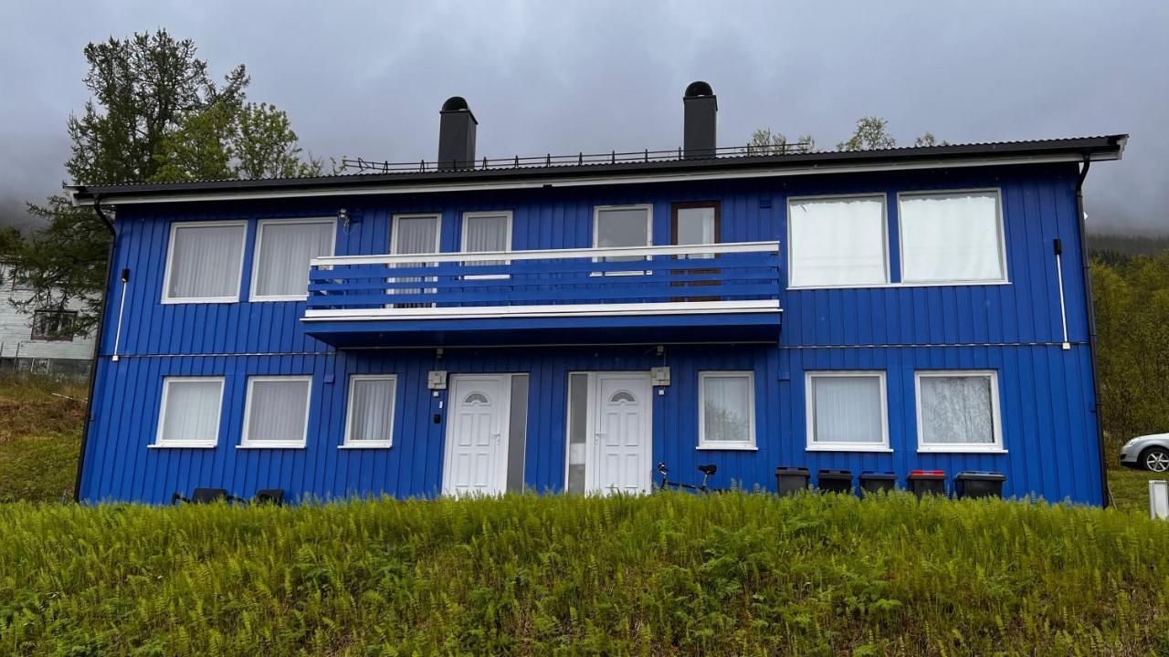 Apartamento Norwegian Dream Gratangen Exterior foto